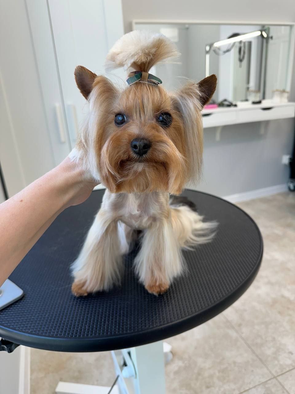 grooming-salon-sofia-33